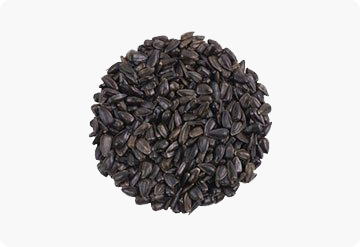Oolong Tea